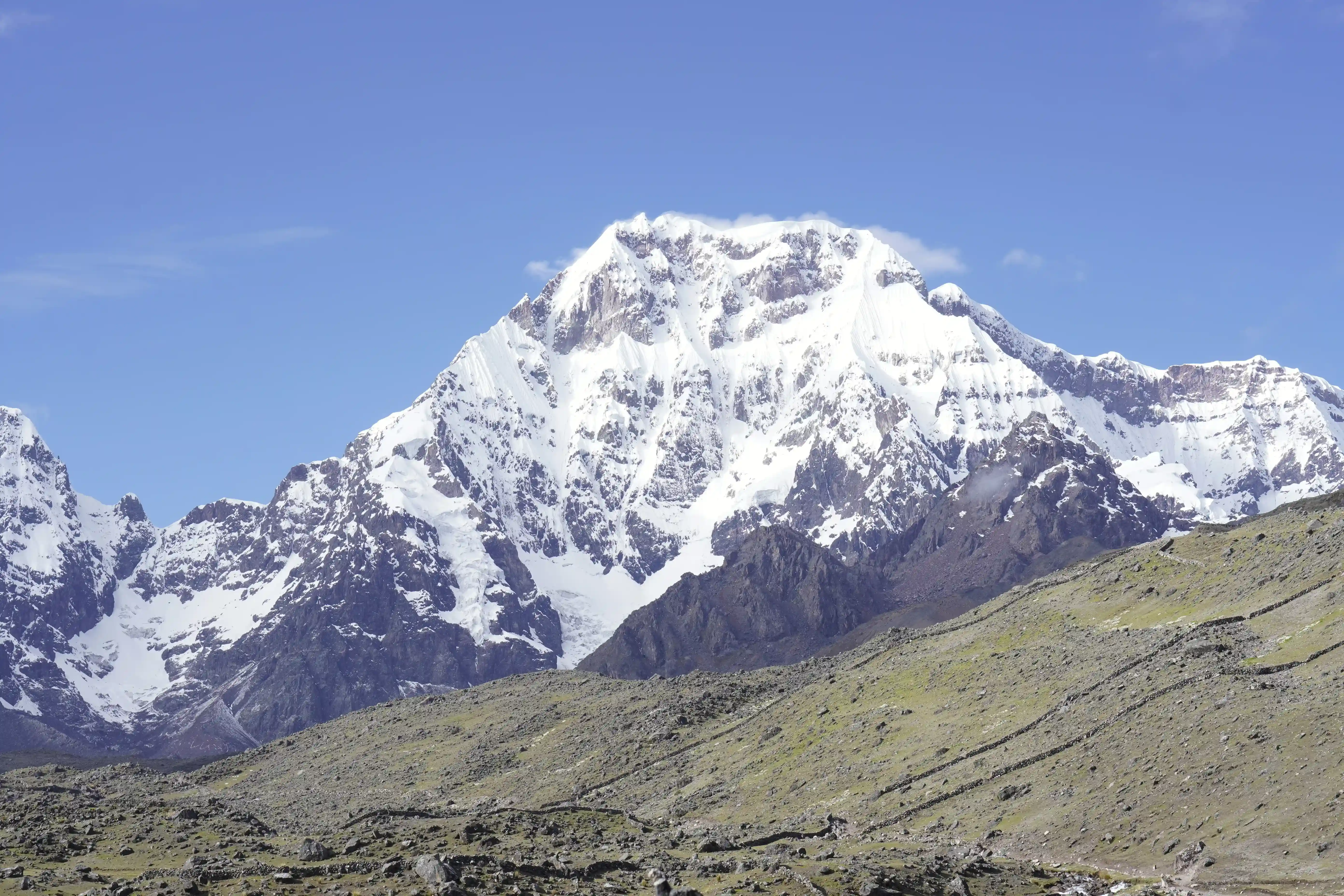 Andean community with alpacas