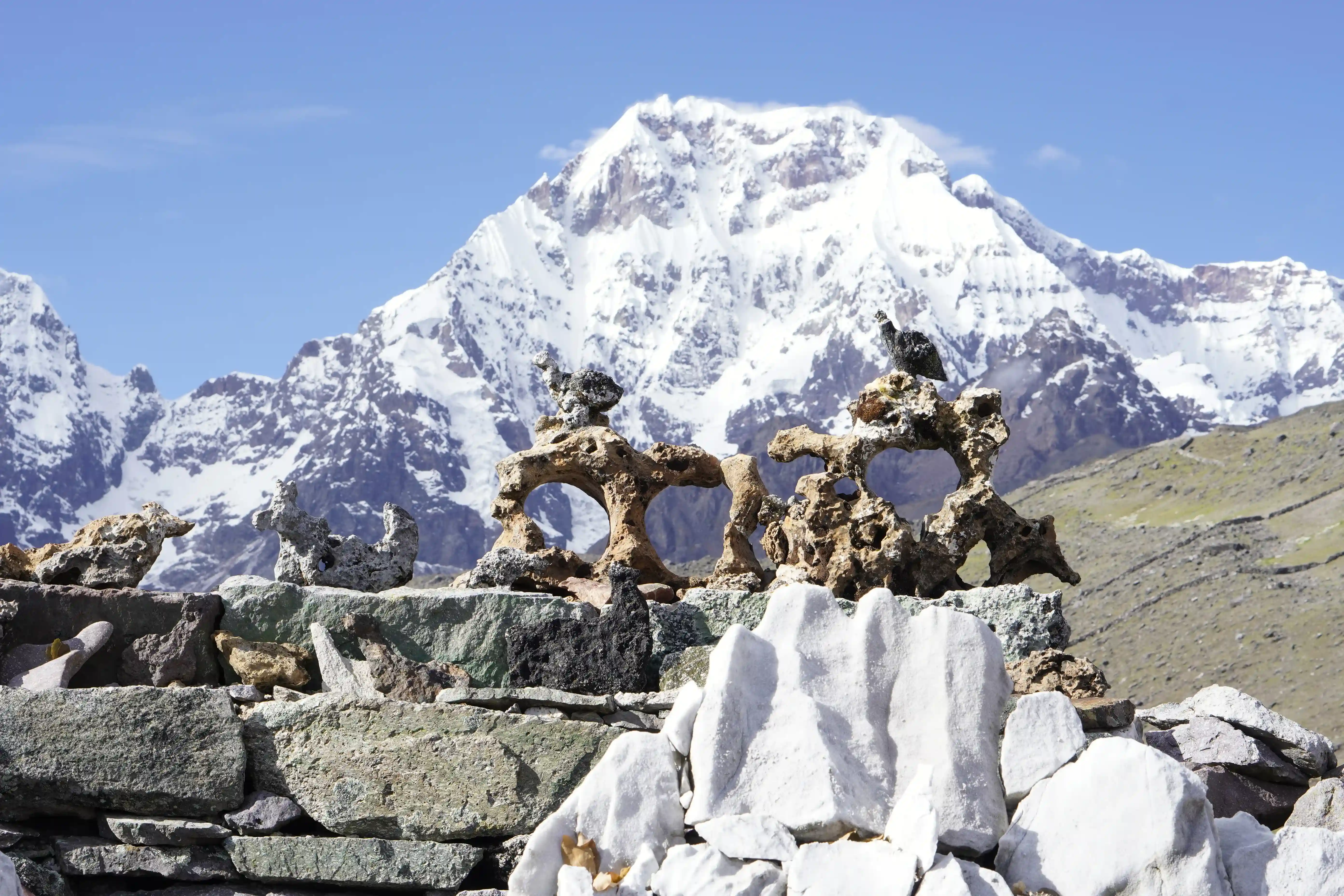 Alpacas in Andean landscape